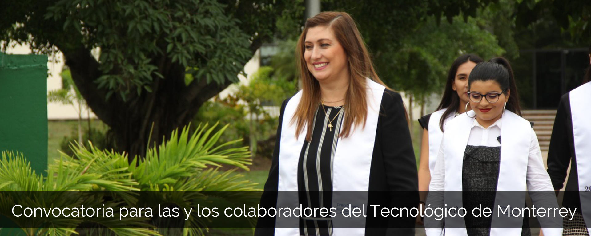 Beneficio colaboradores Tec