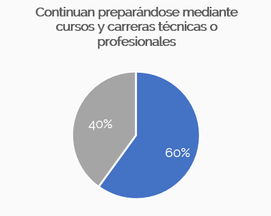 Continuidad en preparación del alumno del bachillerato en línea Prepanet